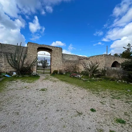 Abbazia San Nicola Di Pergoleto 1 Gelso *